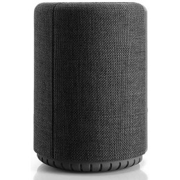 AUDIO PRO A10 Gris Foncé