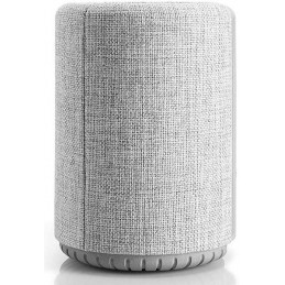 AUDIO PRO A10 Gris Clair